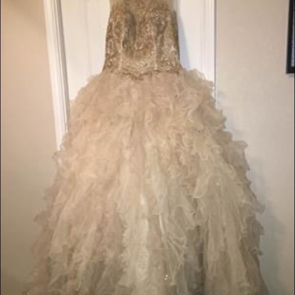 Quincenera Dress - Picture 2 of 8